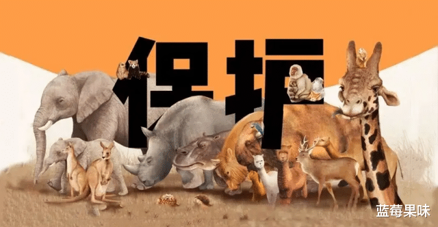 全球仅存3只的“神兽”,我国就有一只,无法有效繁殖或走向灭绝