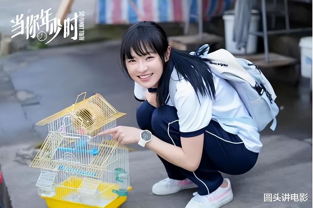 底线|正在热播的五部电视剧,《底线》排在第二,你最想追哪一部?