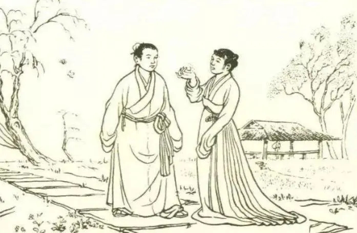 现实中的“吸血鬼”,蚊子其实也有关于自己的传说