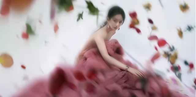 赵丽颖|模糊赵丽颖的美不要紧，算是一种创新，可大片有四方面不合理