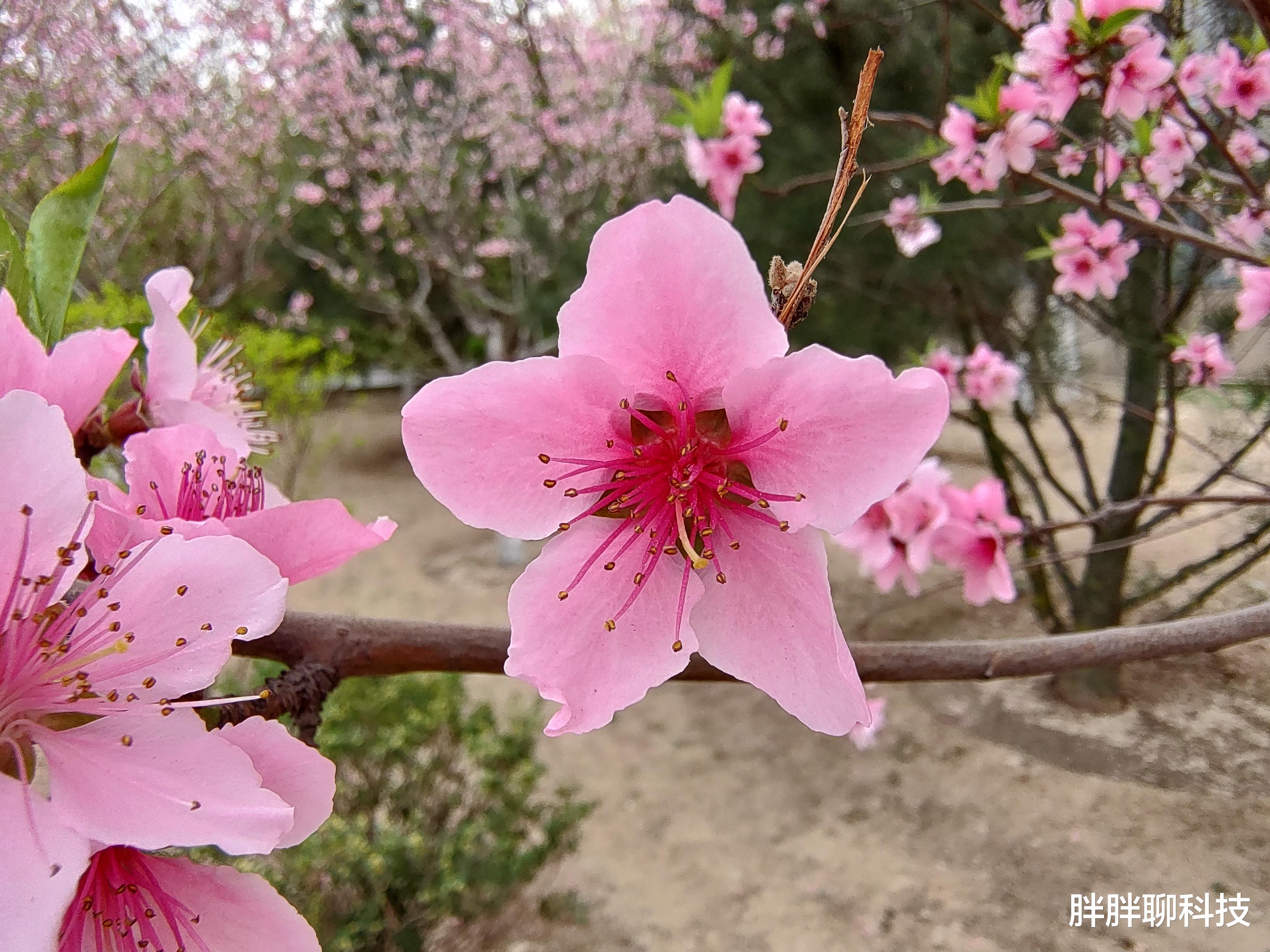 摩托罗拉|moto S30冠军版评测：好用的MYUI 3.0，2499元打造极致性价比