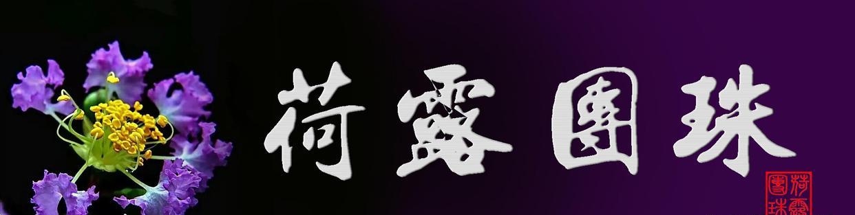 被风吹过的夏天|闲聊一出尘封已久的京剧骨子老戏《二度梅》