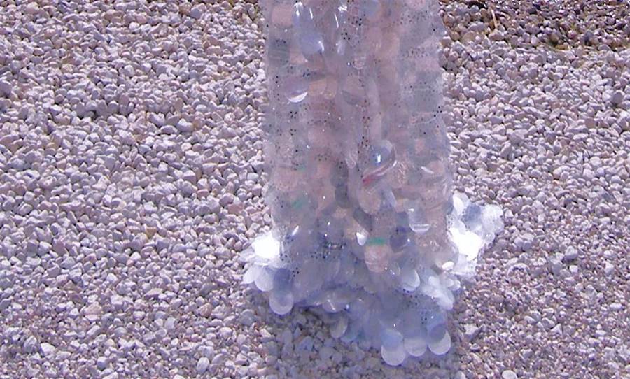 人鱼公主|徐璐在云南抚仙湖扮人鱼公主，鱼鳞片太逼真，一个细节让人心疼！