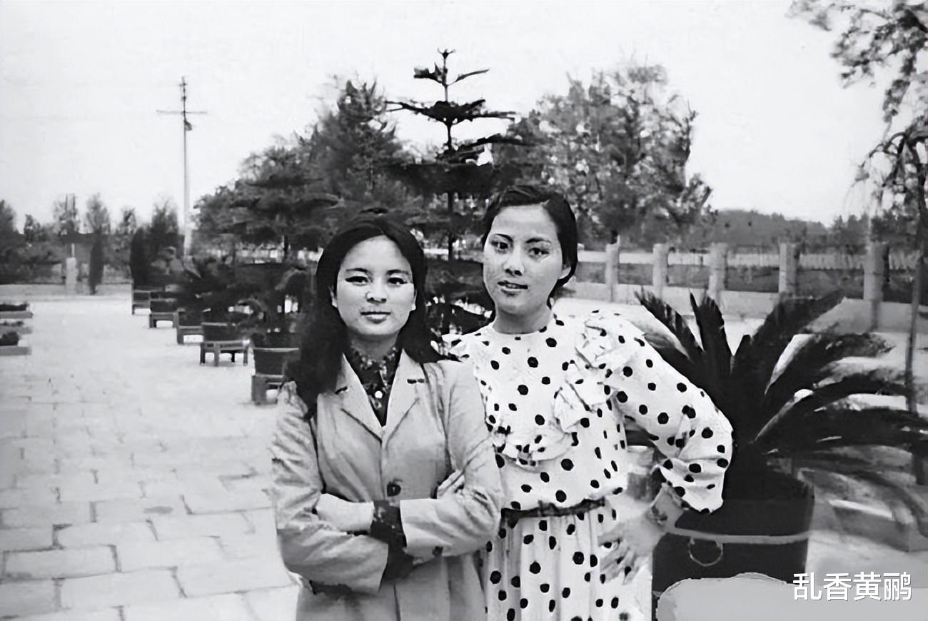 红楼梦|87《红楼梦》初次见面就惊艳众人的8位美女，个个天姿国色