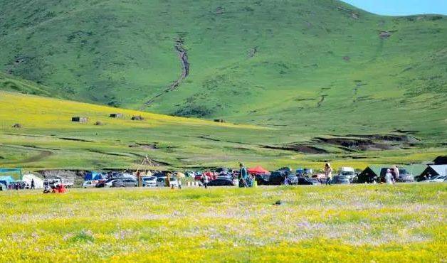 高原|5月26日开园！！俄么塘花海，已经开始美了！