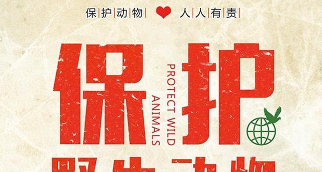 医院|钓鱼人的心理阴影!一条鱼没钓到提着大蛇往医院跑,网友:不科学