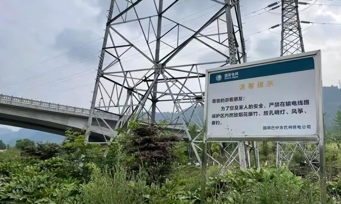 触电|21岁网红鱼塘边钓鱼时触电身亡,父母向电网公司索赔121万合理吗