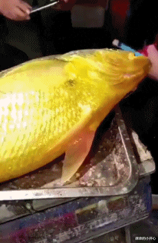 “机场的插座怎么都这样呀?”充电的人多了就会这样!