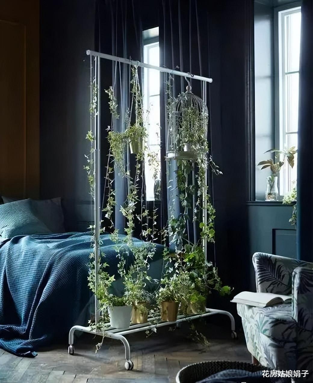 家里再小,用8种养花方式,就算无阳台、无飘窗,也能养出漂亮花