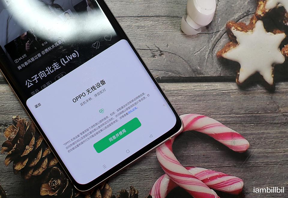 OPPO|豆狀設計定位親民，OPPO Enco W31靈動版真無線藍牙耳機