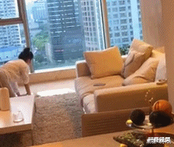 “自从换上了这种凳子，店里的生意格外的好！”