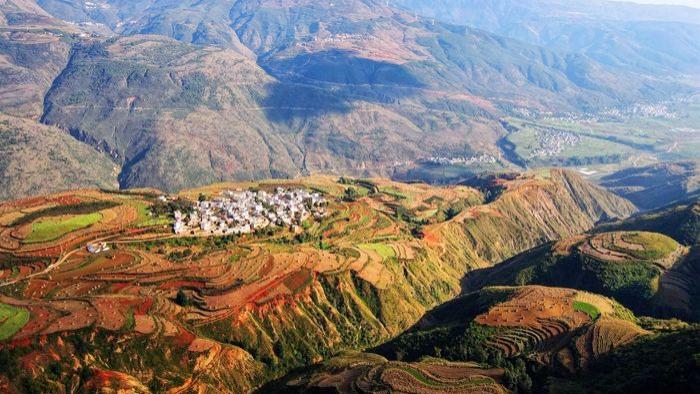 莱阳|东川红土地，神笔绘锦绣！