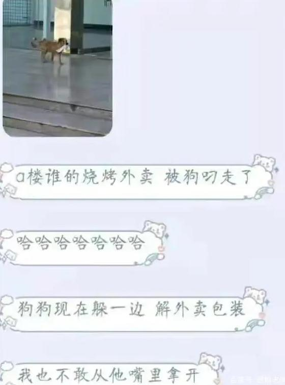 高校表白墙的使命:吐槽室友,给车轱辘找对象,举报偷外卖的小狗