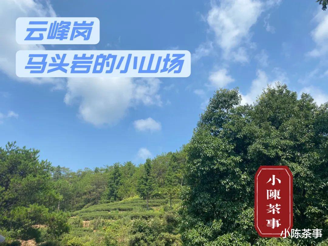 邮轮|开山坪、猫儿石、桃树窠，马头岩的山场究竟有哪几个？这是个谜团