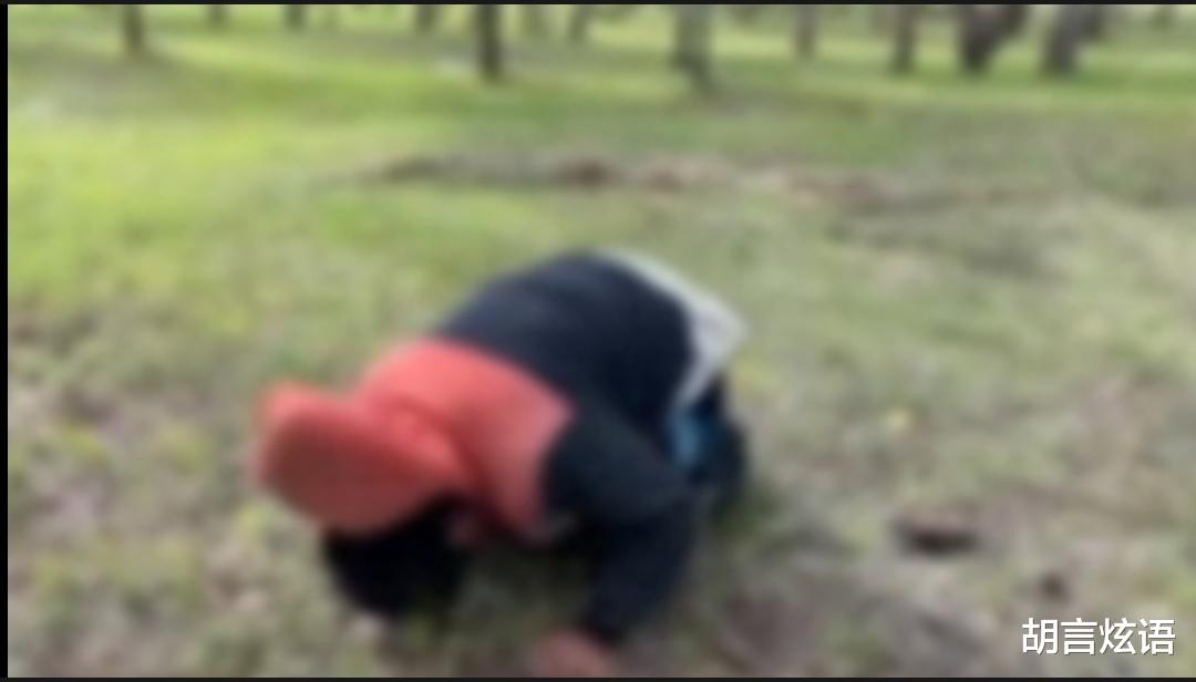 又见欺凌!一男孩在树林里被多名青年辱骂殴打,被迫下跪磕头!