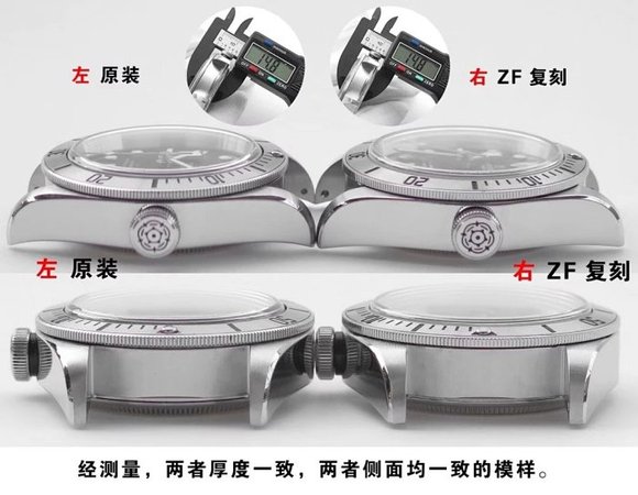 风起陇西 ZF帝舵启承碧湾小钢盾 细节对比评测!