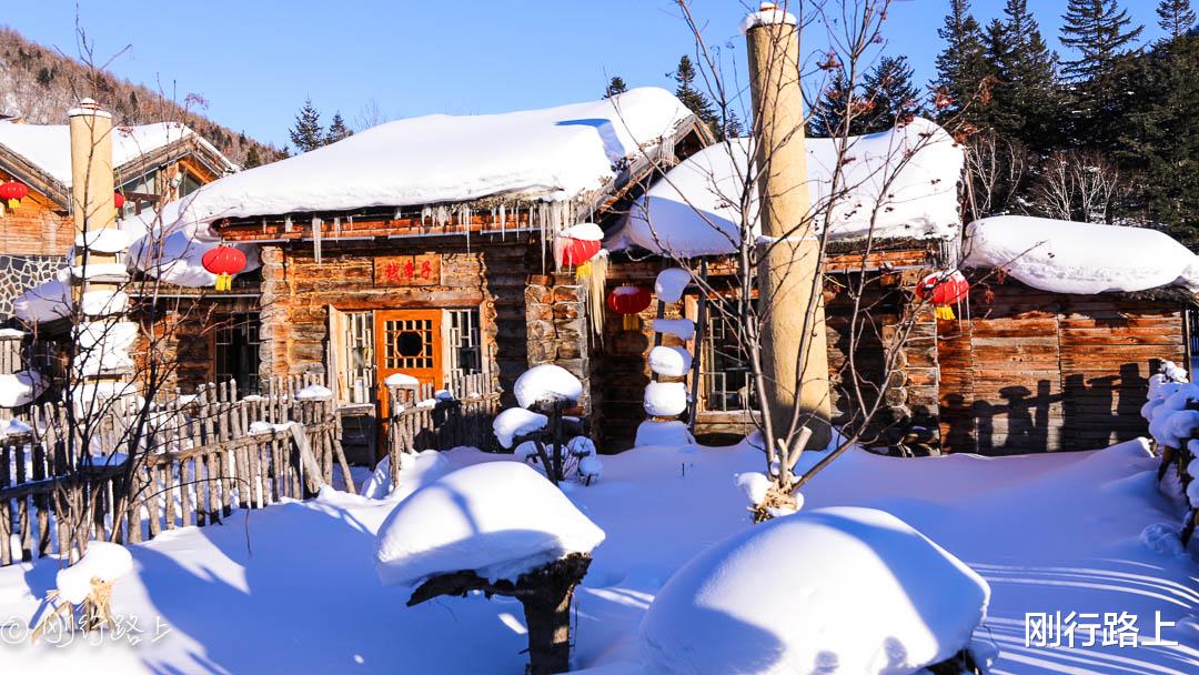 雪乡|雪乡里踏雪，忘情在阳光渲染下皑皑白雪里的“童话世界”