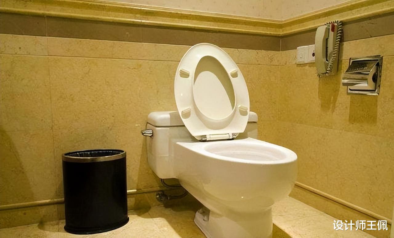 “厕纸扔进马桶冲走”才是正确做法,不是误导,是生活经验!