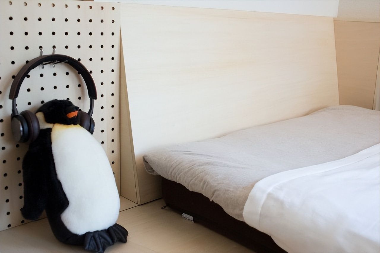 |这位宅男太厉害了,把23㎡迷你小屋,藏满书籍