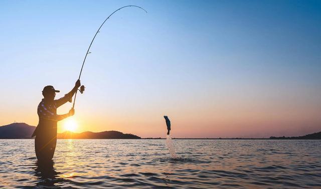 饵料|为什么有些鱼被钓上来再放回水里,它也活不长?