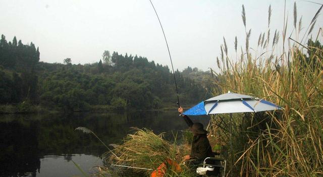 |为什么春季的好天气反而不好钓鱼?只是有延迟而已