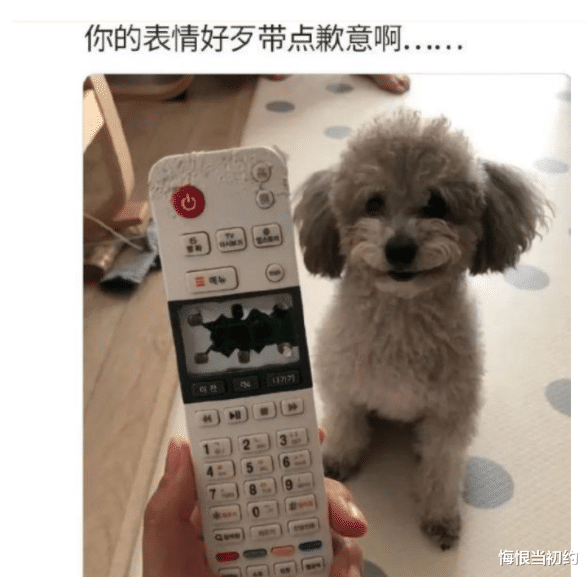 穿衣搭配 “男人的发型，对颜值有多大影响？”