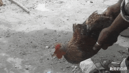 |“华为1996年的招聘广告,大家自己感受一下!”哈哈哈哈人才啊