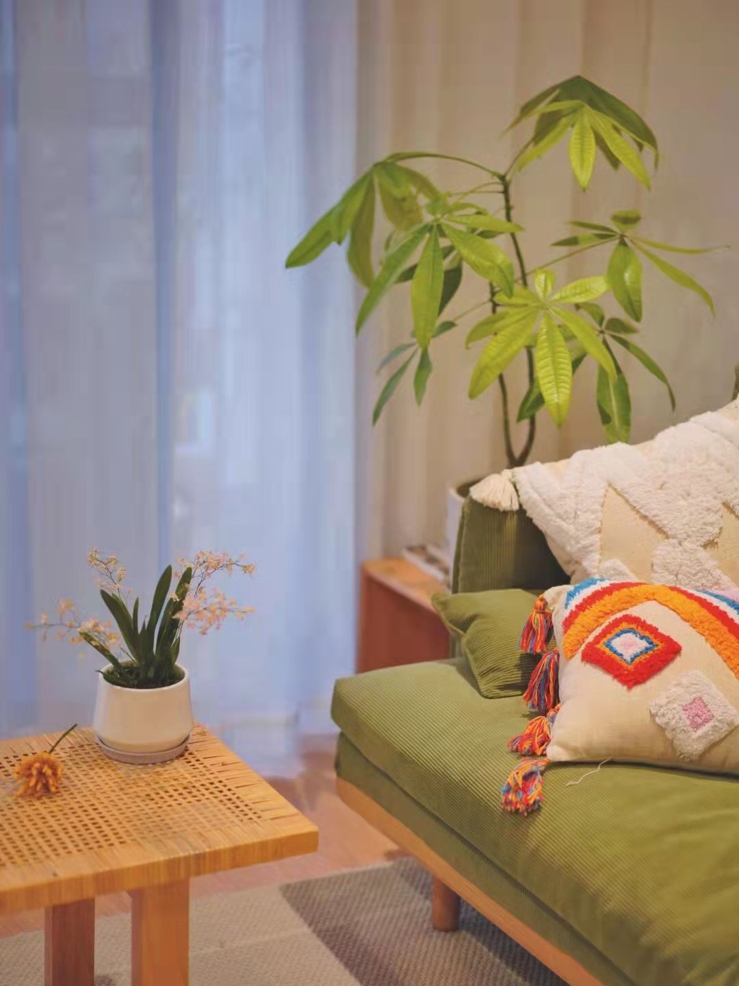 32岁独居女孩的原木风小家,过不被定义的生活,不结婚也很快乐