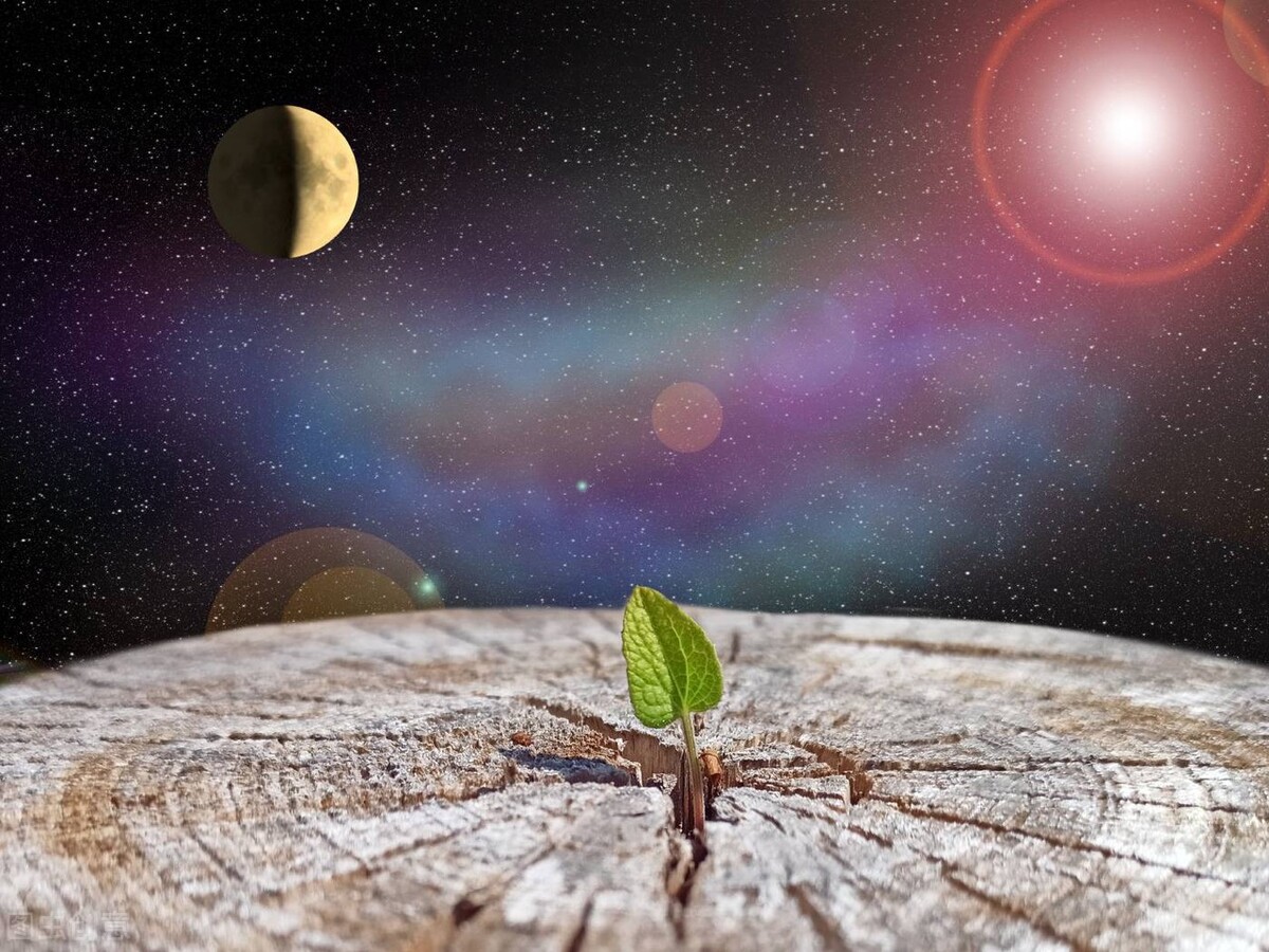 为了证明世界是虚拟的,科学家列出了6个有利证据