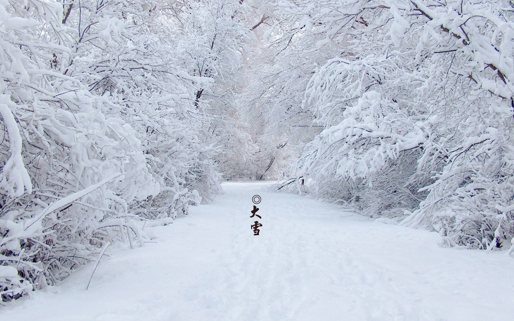 大雪将至，这5道热乎菜常给家人吃，暖身暖胃又滋补，好吃不费事