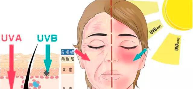 人的皮肤到底有多诡异？人体最诡异器官，至今仍无法解释原理