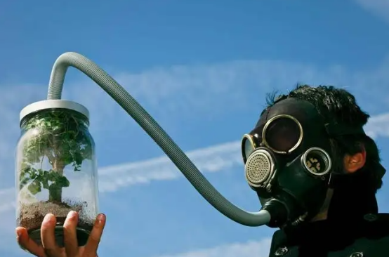 地球的氧气含量如果翻倍,对人类来说是好事吗?史前蜻蜓可能再现