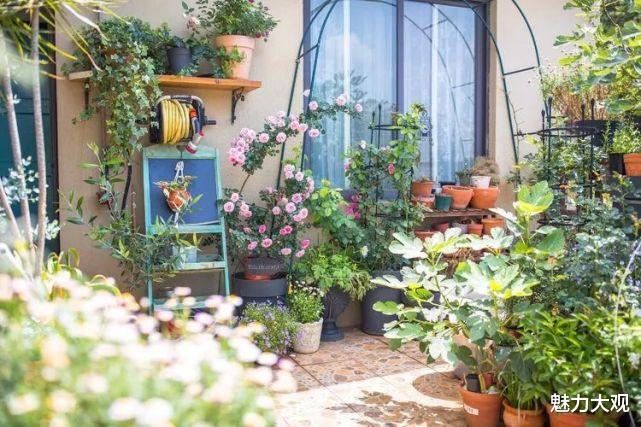 小阳台也能玩出大花样，一眼就让你沉沦！