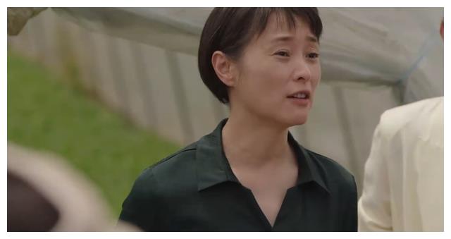 胡歌|胡歌新剧来袭,孔笙导演操刀,黄磊王骁参演,刘涛万茜两女神加盟