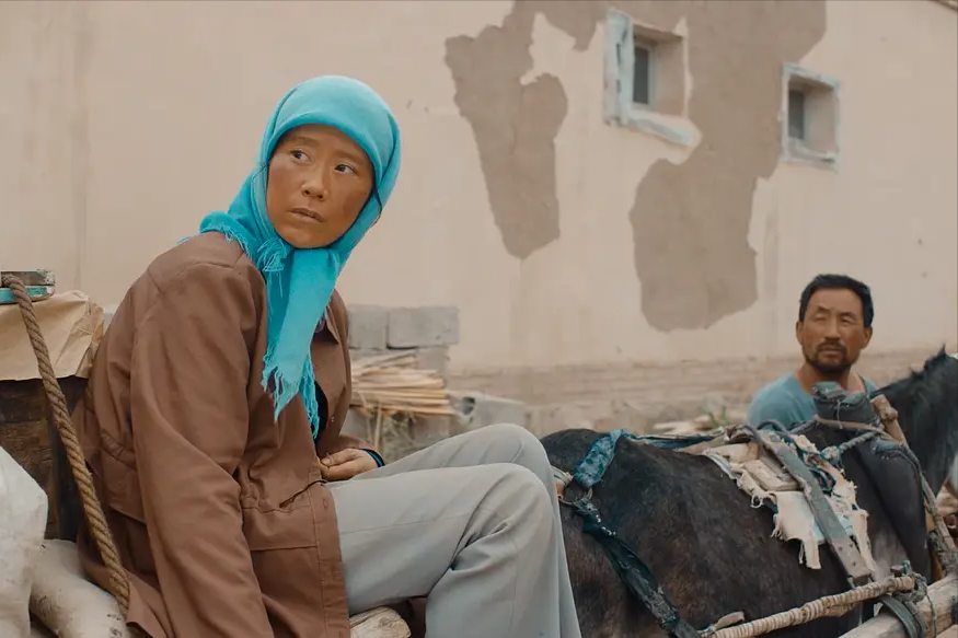 马有铁|《隐入尘烟》中,马有铁是人也是“驴”,侄子手里的东西胜过亲情