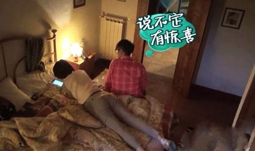 人物设定|装学霸、假纯情、吹人设，戴着“面具”的这7位男星，都翻车了