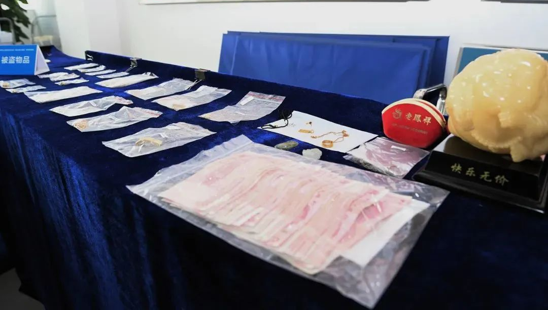 东莞公安全面推进社会治安防控体系提档升级