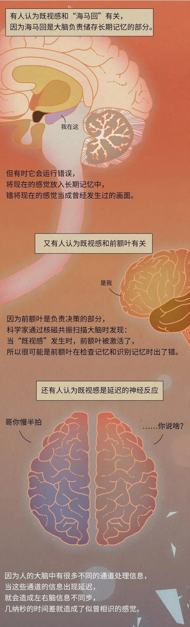 |“一见钟情”，到底靠不靠谱？一组漫画科普分析，看完就懂了！
