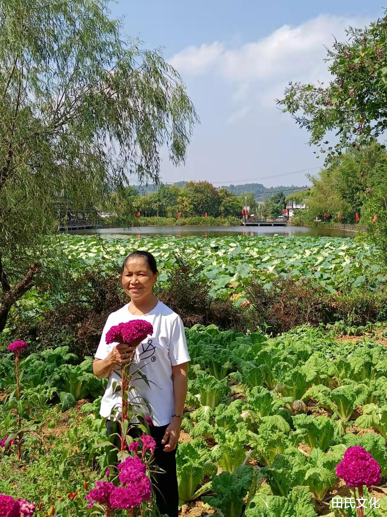 |【田氏文化】初夏之美 美不胜收 文/田福宏