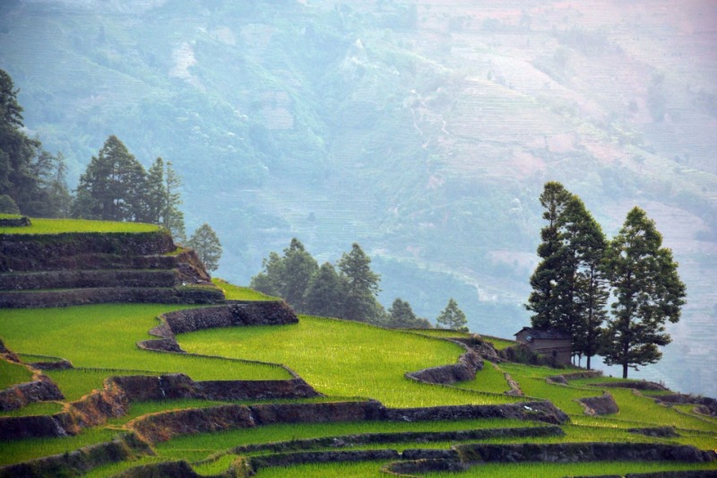 梯田|夏日“凉”方:热热热!有一种避暑叫躲进山里住