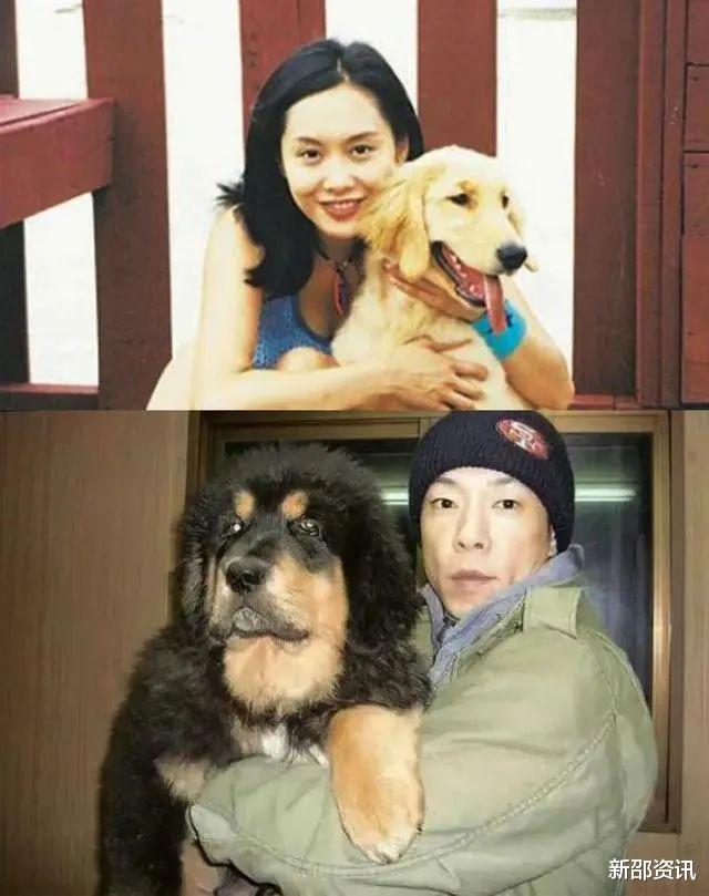 阿娇|娱乐圈7位小个子女星，拍戏得踩高跷、垫苹果箱，最娇小的仅1米53