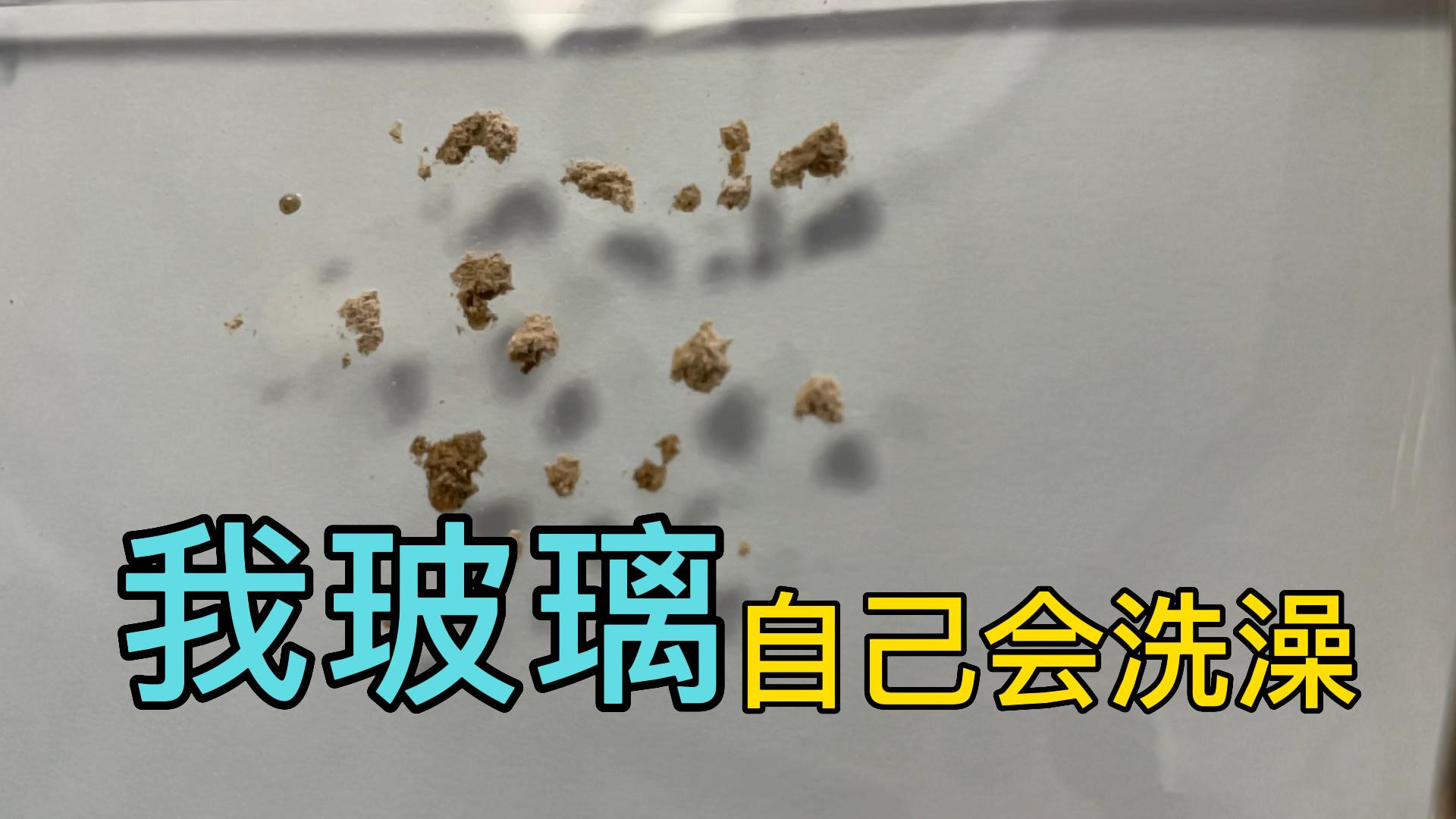 纳米涂层让玻璃幕墙遇水自清洁，窗户淋浴房光伏板可疏水防污防灰