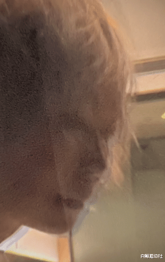 叶童|59岁叶童庆生！满头白发凌乱如鸡窝，皱纹横生怼脸自拍被指吓人