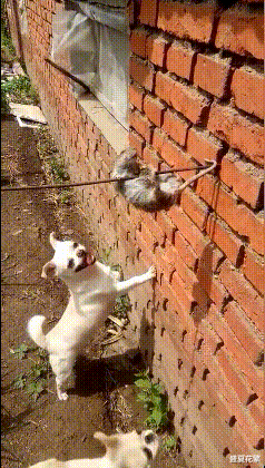 南瓜|“女朋友在公司睡太多,回家都不睡觉了...干中介的心酸泪”