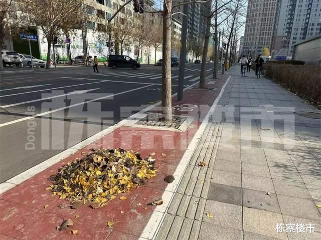 2022皇姑建设！岐山路2150米道路将打造知识主题公园