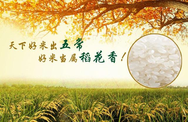 五常变无常:黑心救护车坐地起价,狠狠敲诈弥留病人家属