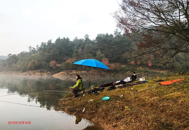 |分享私藏多年的野钓圣地:山好、水好、环境更好!