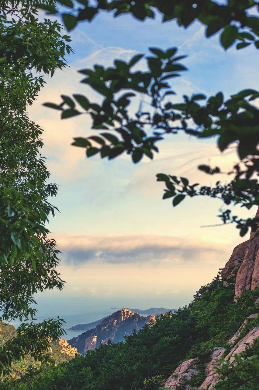 |这座宜居Top1的海滨老城,一到夏天,就美得让人欲罢不能