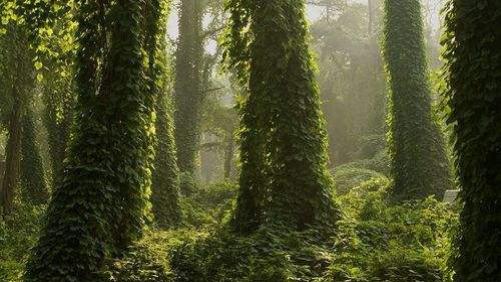到了现在还没有被人类征服的土地，除南极之外还有很多，十去九不回