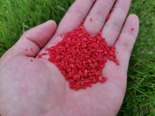 |冬钓大板鲫还得是传统钓!老钓手分享5条经验,一般人不告诉他